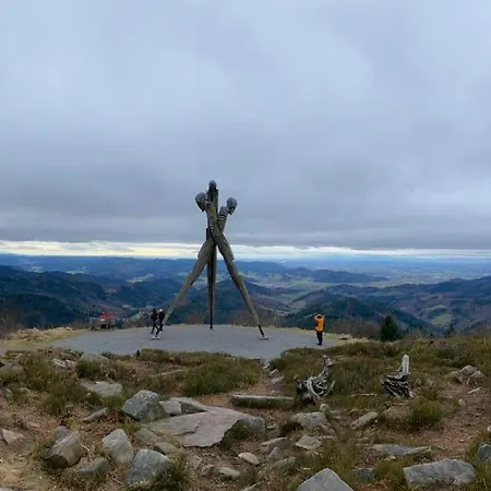 Graceland * فِشرباخ