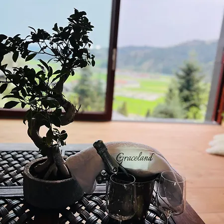 Graceland فِشرباخ