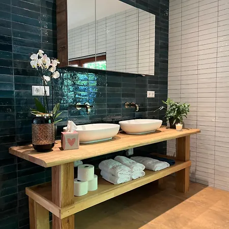 Graceland فِشرباخ